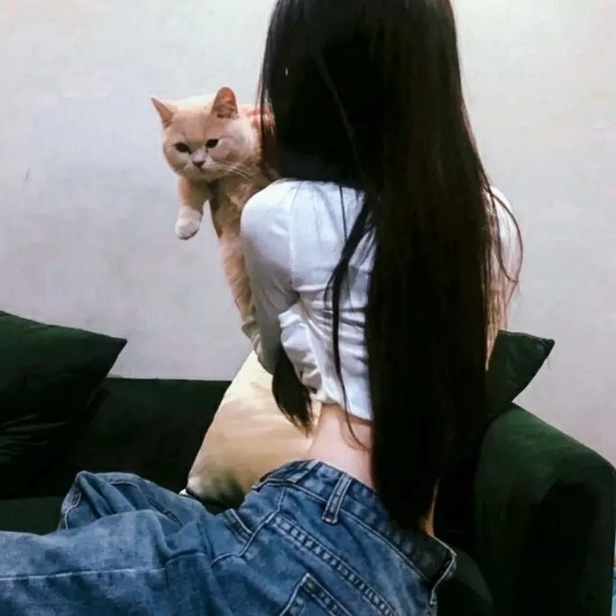杜拉拉追婚记
